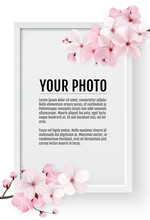 Cherry Blossom, Sakura Branch With Pink Flowers On White Frame. Realistic Image Of Springtime. Vector Illustration.
