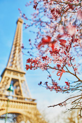  Eiffel Tower with cherry blossom
