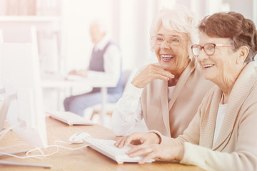 Poster - Bright photo of two smiling senior women with glasses during computer classes for elderly people at third age university