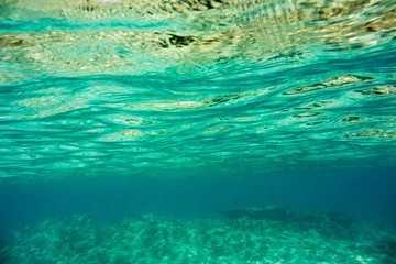 Underwater texture and fauna in Ionian sea, Zakynthos, Greece