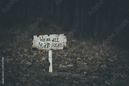 Photographie Alice in Wonderland- Mad here