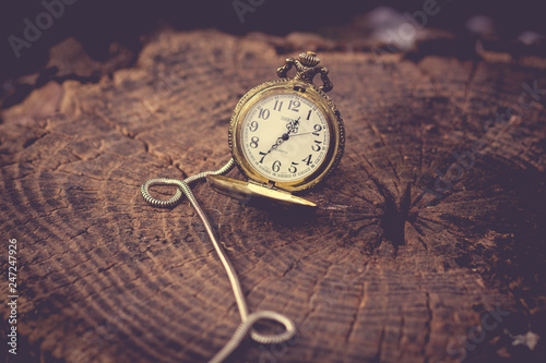 Fotomural Alice in Wonderland- I'm Late