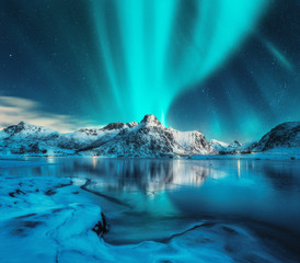aurora borealis over snowy mountains, frozen sea coast, reflection in water at night. lofoten island