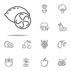 Poster - lemon dusk style icon. Vegetables icons universal set for web and mobile