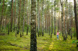 © MNStudio - Cute young girl having fun during forest hike on beautiful summer day. Active family leisure.