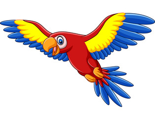 Poster - Cartoon funny macaw flying