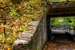 View of the tunnel under the road covered with autumn foliage
