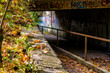 View of the tunnel under the road covered with autumn foliage
