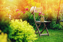 Beautiful Blooming Summer Private Garden With Wooden Chair, Gardener Hat And Watering Can