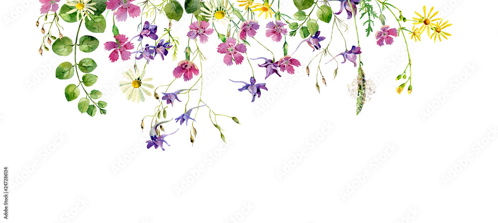 Frame of wild flowers and herbs on a white background. For greetings and invitations - obrazy, fototapety, plakaty 