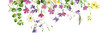 Leinwandbild Motiv Frame of wild flowers and herbs on a white background. For greetings and invitations