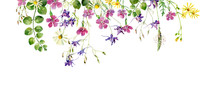 Frame Of Wild Flowers And Herbs On A White Background. For Greetings And Invitations