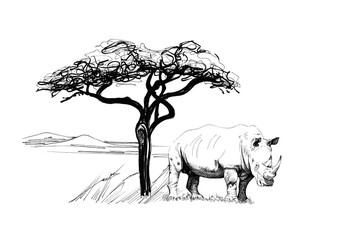 Rhino near a tree in africa. Hand drawn illustration