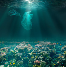 Sea Bed Underwater With Plastic Bags. Environment Pollution Ecological Problem.