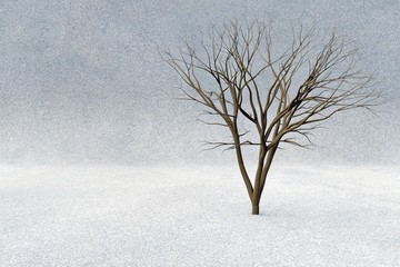 Poster - 3d rendering of bald tree in winter