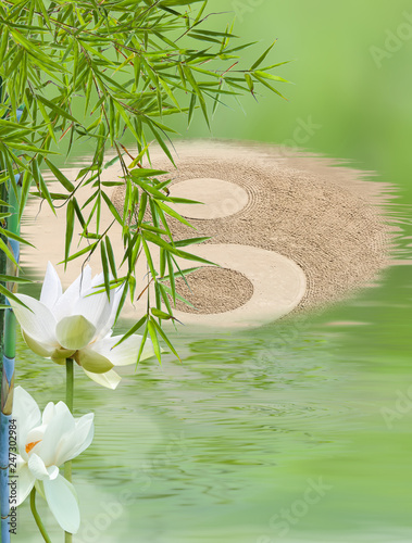 Composition Aquatique Zen Symbole Yin Yang Bambou Et Fleurs Blanches De Lotus Buy This Stock Photo And Explore Similar Images At Adobe Stock Adobe Stock