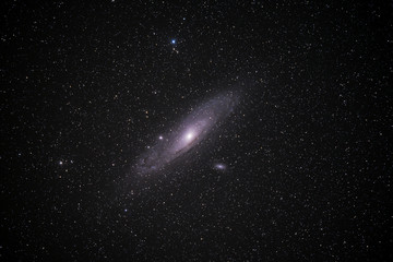 Wall Mural - m31 the andromeda galaxy