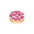 Delicious hand drawn tart with raspberries. Watercolor realistic illustration on white background. Sweet dessert.
