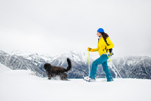Black Dog With A Girl On A Walk With Snowshoes In The Mountains