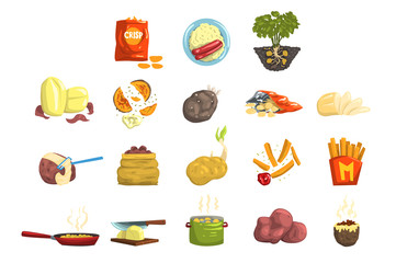 Sticker - Dishes of potatoes set, raw and cooked potatoes vector Illustrations