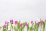 Fototapeta Tulipany - Spring greeting card, pastel color tulips on the gray background.