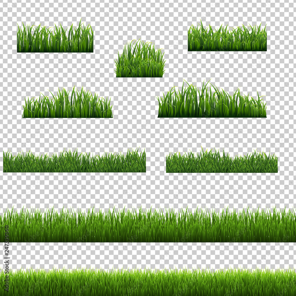 Big Set Green Grass Borders Transparent Background White Background ...