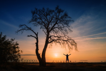 Silhouette of man under the tree on a beach