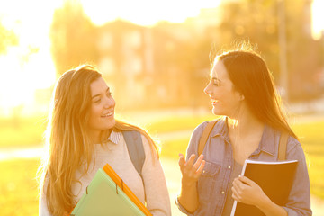 Wall Mural - Happy students walking and talking at sunset in a park