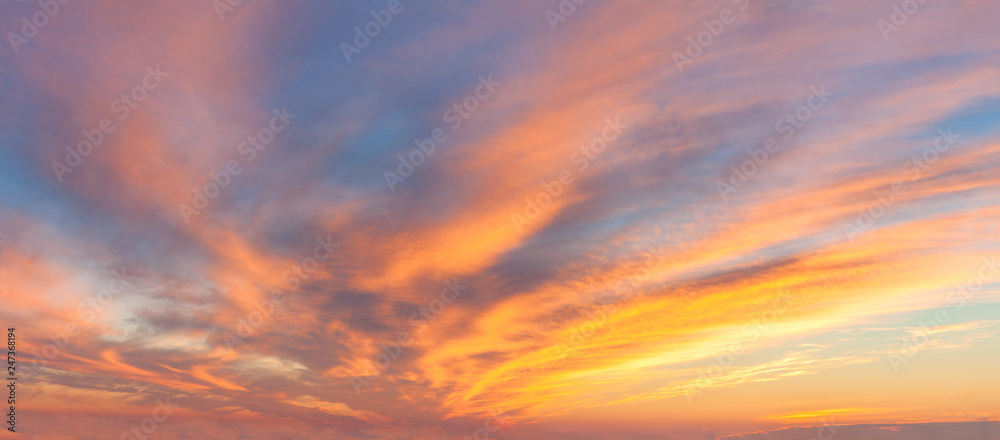 Panoranic Sunrise Sky with colorful clouds - obrazy, fototapety, plakaty 