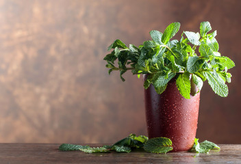 Bunch of fresh green organic mint .