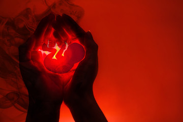 silhouette of female hands and application in the form of an embryo.The concept of abortion . Hands dissolve in the black smoke