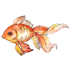 Watercolor aquatic underwater colorful tropical goldfish background set. Isolated fish illustration element.