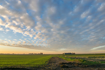 Wall Mural - wide open landscape with beautiful clouds at sunset between gouda and leiden, the netherlands. fanta