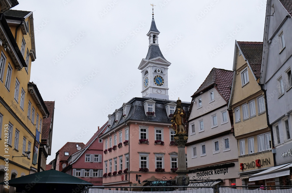 Old town hall and market fountain with sculpture of Emperor Josef I in ...