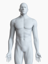 Illustration Of A Male Body