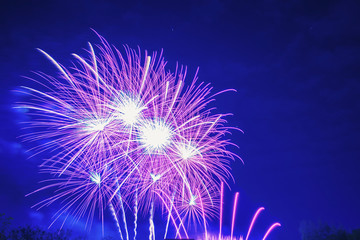 Poster - Brightly Colorful Fireworks on twilight background