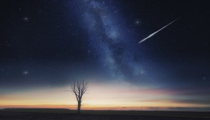 Beautiful dreamy night landscape with milky way on sky