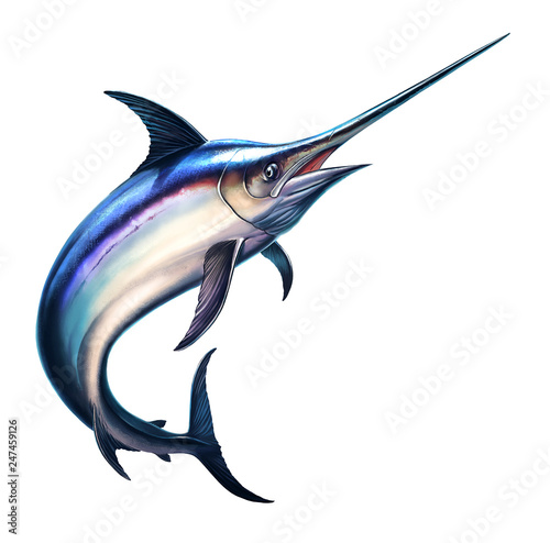 Fotografía Fish sword on a white background