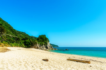 branch on a beach, abel tasman national park, new zealand 2