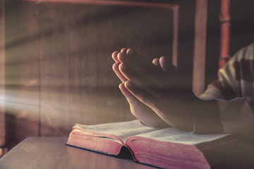 Wall Mural - Hands of a person raised together in prayer with bible