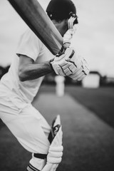 Wall Mural - Cricketer on the field in action