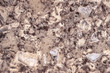 © Rawpixel.com - Colorful granite design for decoration