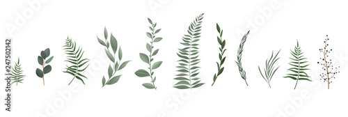 Vector designer elements set collection of greeng leaves herbs in watercolor ...