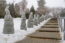 Protection Of Bushes From Frost Along The Stairs In The Winter Park