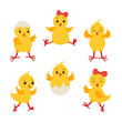 Collection cartoon chikens for easter design. Cute chick character set.