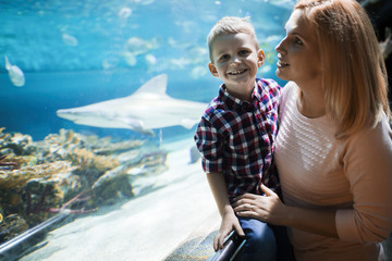 Wall Mural - Mother and son watching sea life in oceanarium