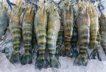 Prawn, River Shrimp on ice at supermarket raw for cooking