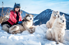 The Boy Is A Dog Breeder Surrounded By Pets In The Snowy Mountains - Riding Northern Dogs Alaskan Malamute And Samoyed. Family Of Dogs. Friendship Of People And Animals.