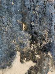 Poster - Details of sand stone texture