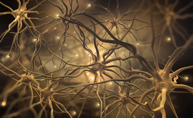 Aufkleber - Neural networks of the human brain. 3d illustration of abstract nerve centers. Electrical impulses in brain